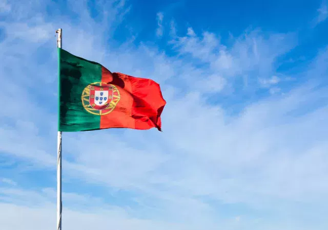 ¿Cuáles son las ayudas y subvenciones que existen en Portugal?